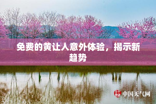 免费的黄让人意外体验，揭示新趋势