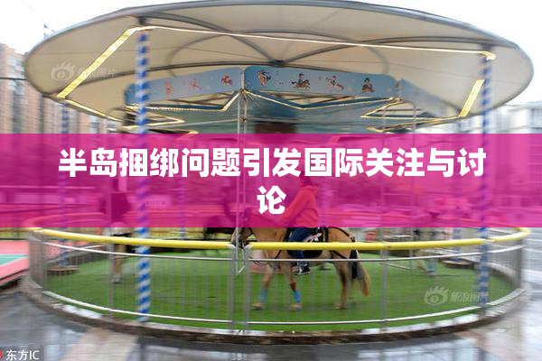 半岛捆绑问题引发国际关注与讨论