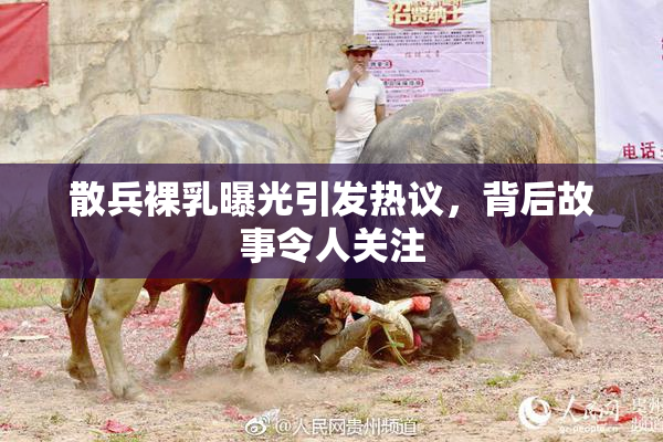 散兵裸乳曝光引发热议，背后故事令人关注
