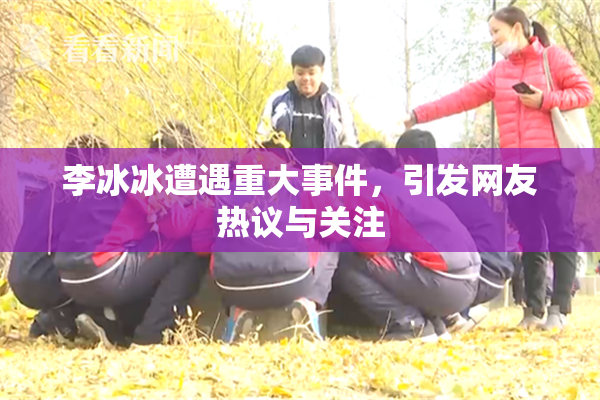 李冰冰遭遇重大事件，引发网友热议与关注