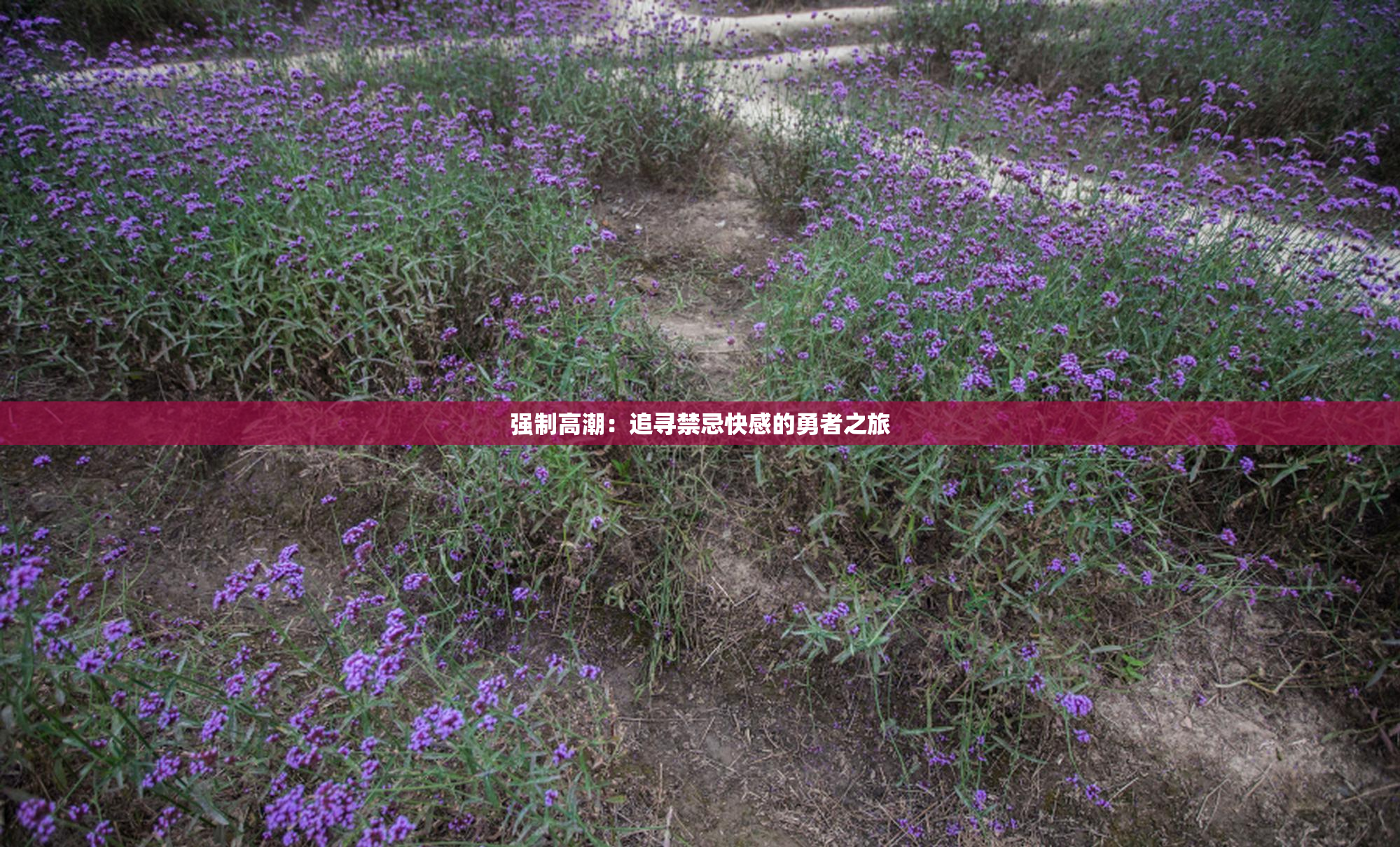 强制高潮：追寻禁忌快感的勇者之旅