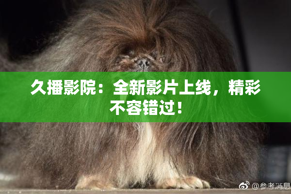 久播影院：全新影片上线，精彩不容错过！