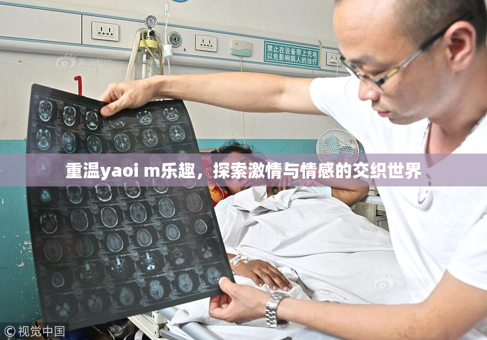 重温yaoi m乐趣，探索激情与情感的交织世界