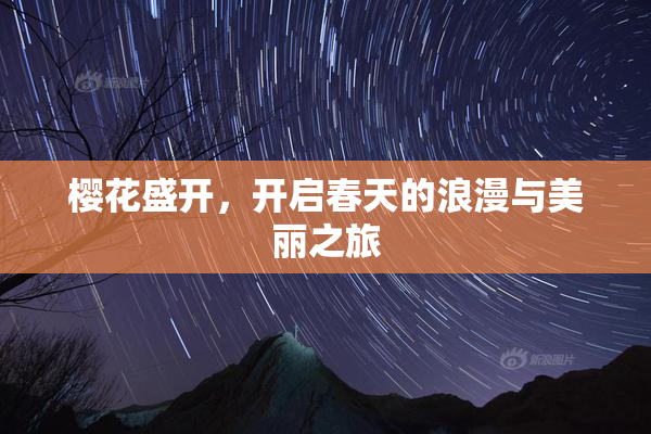樱花盛开，开启春天的浪漫与美丽之旅