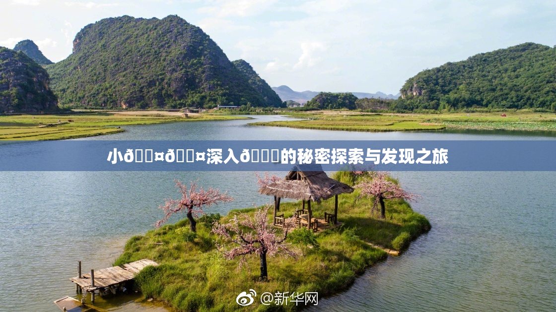 小🐤🐤深入🍑的秘密探索与发现之旅
