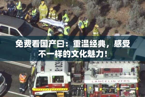 免费看国产曰：重温经典，感受不一样的文化魅力！