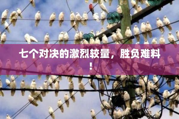 七个对决的激烈较量，胜负难料！