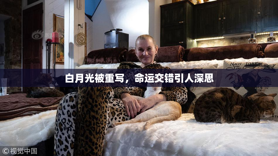 白月光被重写，命运交错引人深思