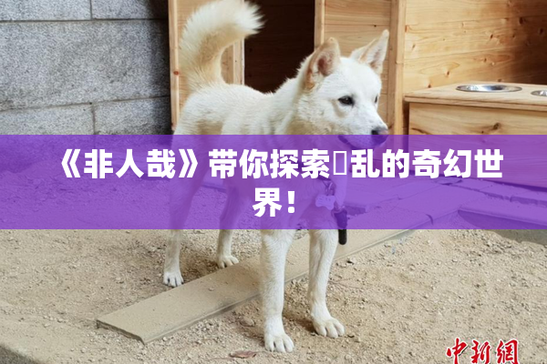 《非人哉》带你探索婬乱的奇幻世界！