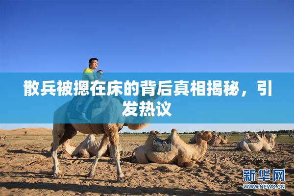 散兵被摁在床的背后真相揭秘，引发热议