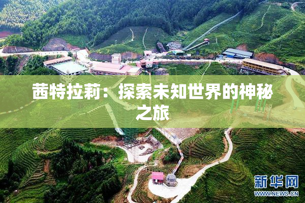 茜特拉莉：探索未知世界的神秘之旅