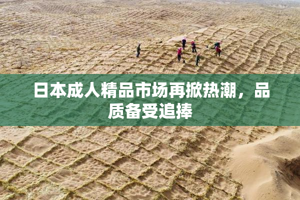 日本成人精品市场再掀热潮，品质备受追捧
