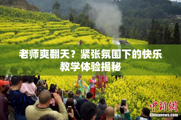 老师爽翻天？紧张氛围下的快乐教学体验揭秘