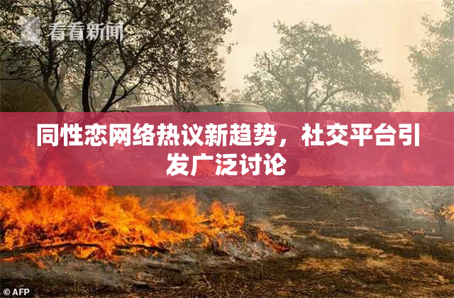 同性恋网络热议新趋势，社交平台引发广泛讨论