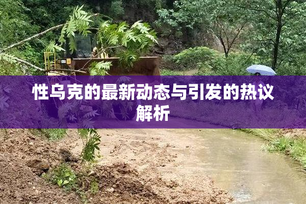 性乌克的最新动态与引发的热议解析