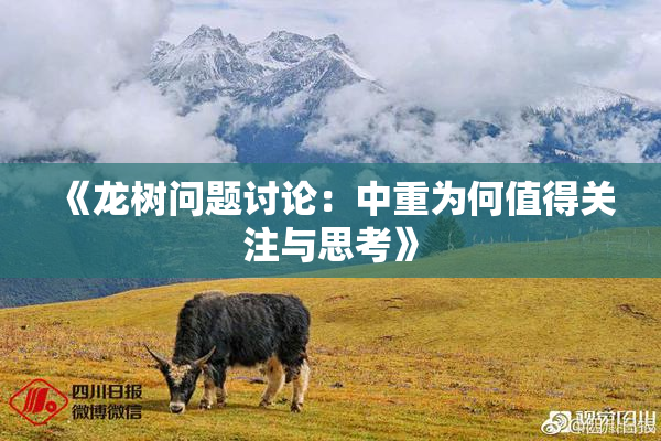《龙树问题讨论：中重为何值得关注与思考》