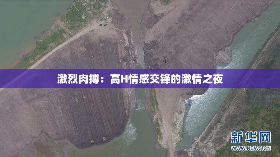 激烈肉搏：高H情感交锋的激情之夜