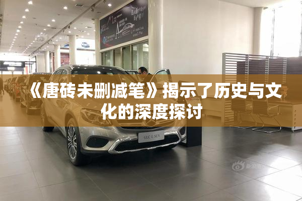《唐砖未删减笔》揭示了历史与文化的深度探讨