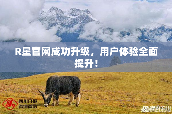R星官网成功升级，用户体验全面提升！