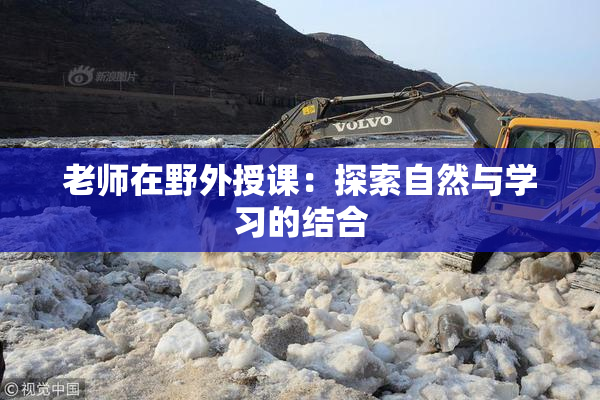 老师在野外授课：探索自然与学习的结合
