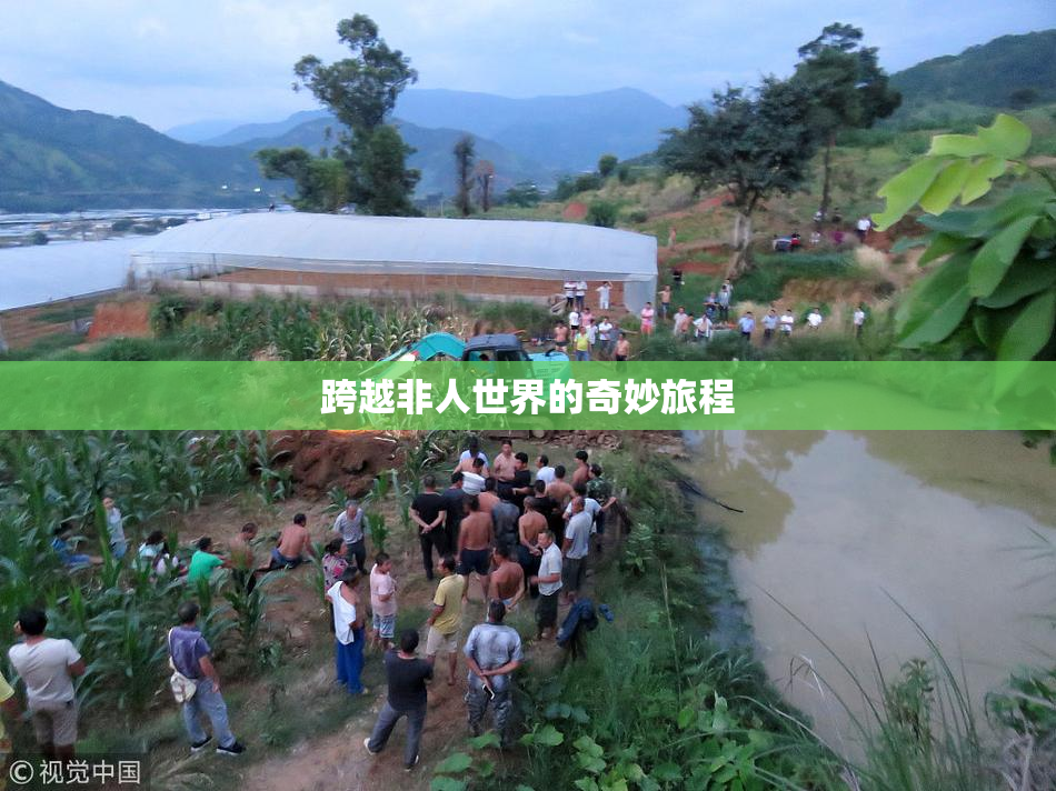 跨越非人世界的奇妙旅程