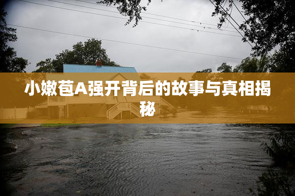 小嫩苞A强开背后的故事与真相揭秘