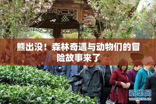 熊出没！森林奇遇与动物们的冒险故事来了