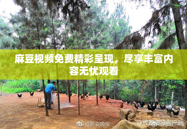 麻豆视频免费精彩呈现，尽享丰富内容无忧观看