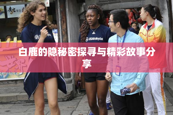 白鹿的隐秘密探寻与精彩故事分享