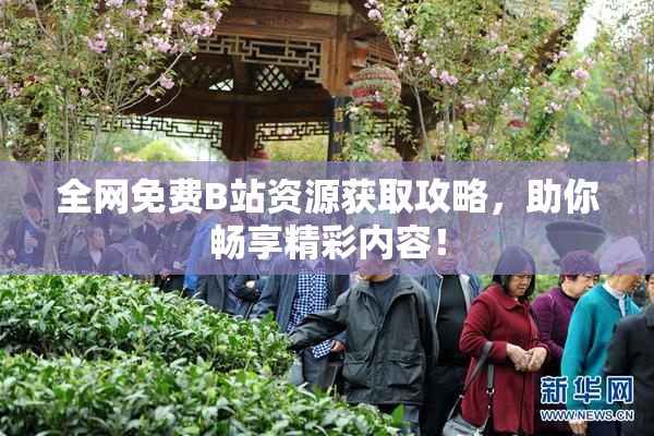 全网免费B站资源获取攻略，助你畅享精彩内容！