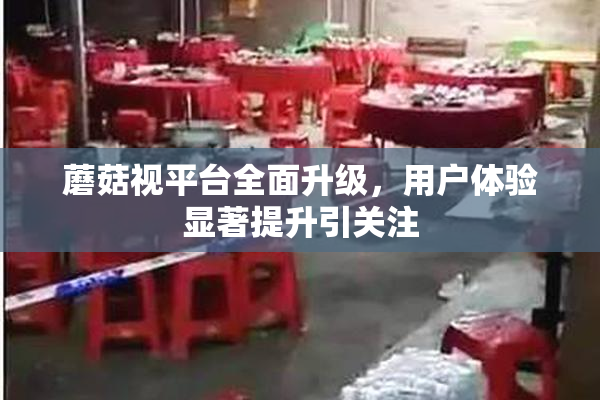 蘑菇视平台全面升级，用户体验显著提升引关注