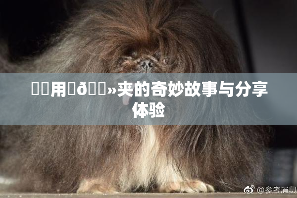 妺妺用‌🐻夹的奇妙故事与分享体验