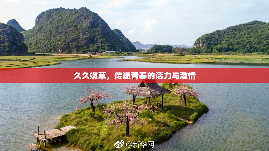 久久嫩草，传递青春的活力与激情