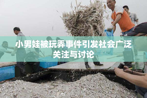小男娃被玩弄事件引发社会广泛关注与讨论
