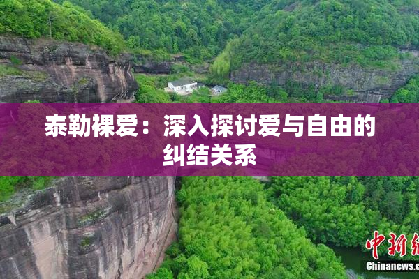 泰勒裸爱：深入探讨爱与自由的纠结关系