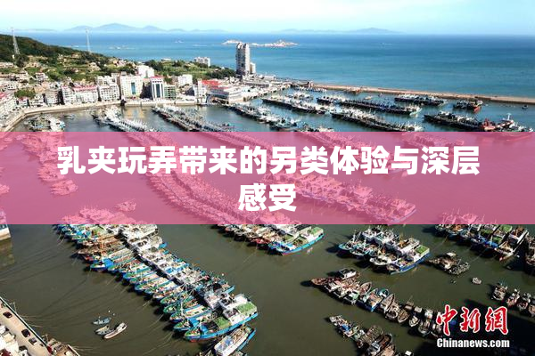 乳夹玩弄带来的另类体验与深层感受