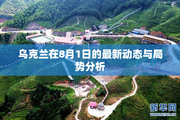 乌克兰在8月1日的最新动态与局势分析