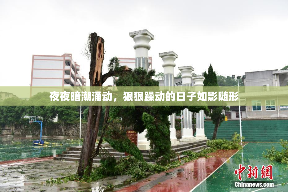 夜夜暗潮涌动，狠狠躁动的日子如影随形