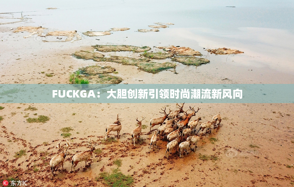 FUCKGA：大胆创新引领时尚潮流新风向
