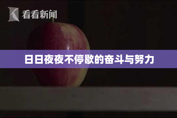 日日夜夜不停歇的奋斗与努力