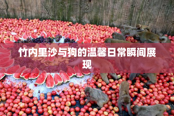 竹内里沙与狗的温馨日常瞬间展现