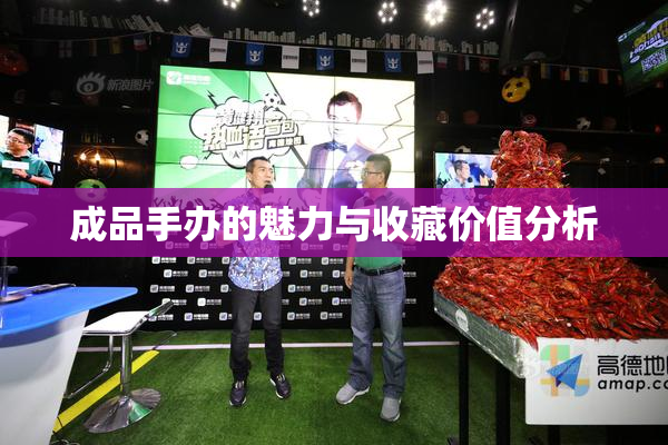 成品手办的魅力与收藏价值分析