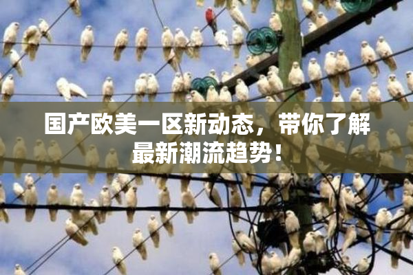 国产欧美一区新动态，带你了解最新潮流趋势！