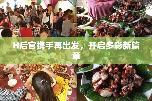 H后宫携手再出发，开启多彩新篇章
