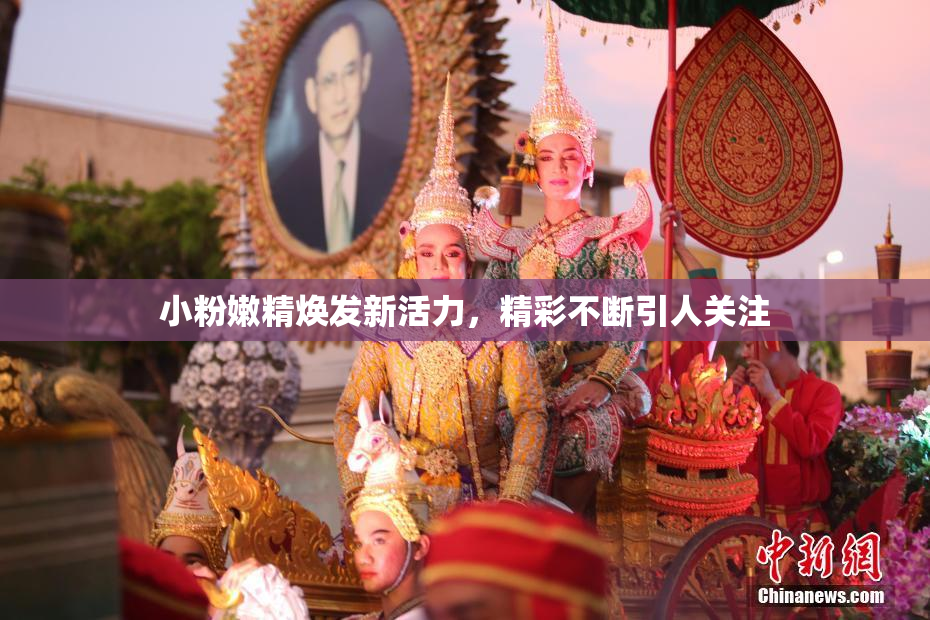 小粉嫩精焕发新活力，精彩不断引人关注