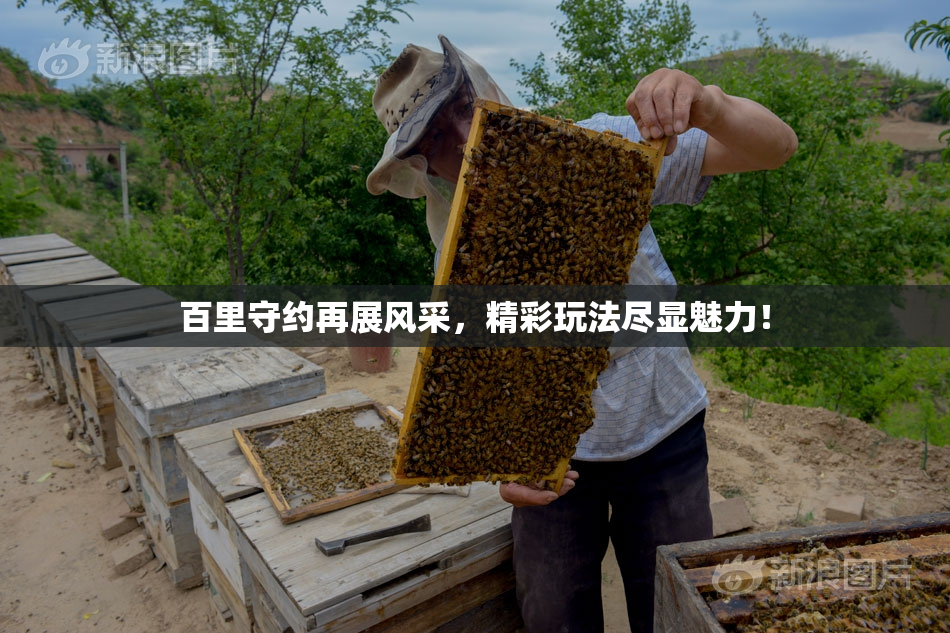 百里守约再展风采，精彩玩法尽显魅力！