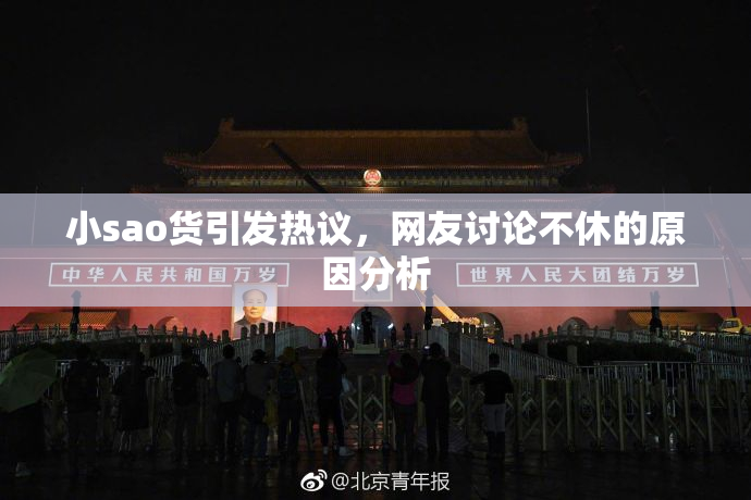 小sao货引发热议，网友讨论不休的原因分析