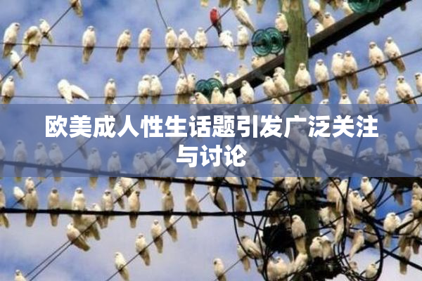欧美成人性生话题引发广泛关注与讨论