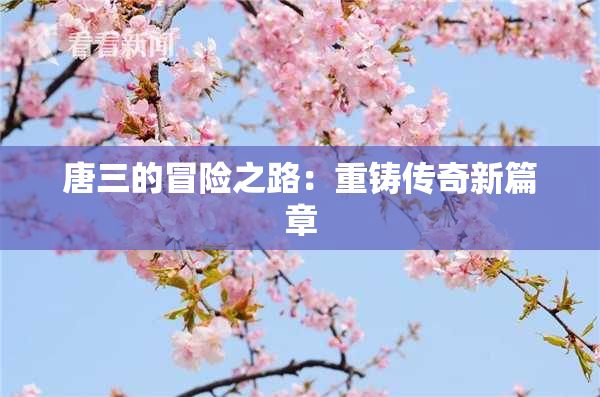 唐三的冒险之路：重铸传奇新篇章