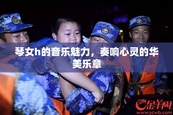 琴女h的音乐魅力，奏响心灵的华美乐章